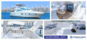 Silver Creek Majesty 61 feet by Centaurus